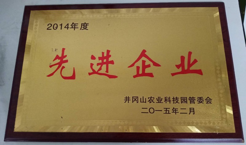 先進(jìn)企業(yè)2015.2